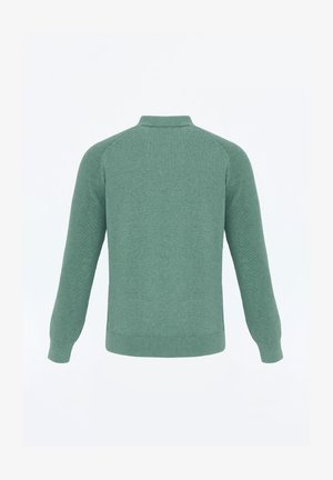 Groene trui met lange mouwen en geribbelde manchetten, zoom en kraag, vanuit de achterkant weergegeven op een effen witte achtergrond.