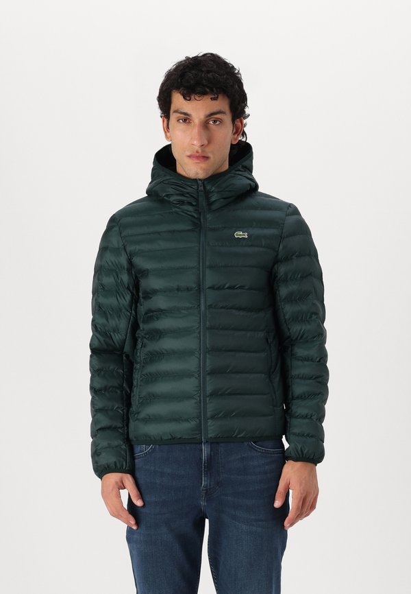 Light jacket - sinople