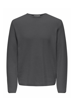 NORMAL GESCHNITTEN RUNDHALSAUSSCHNITT - Pullover - grau