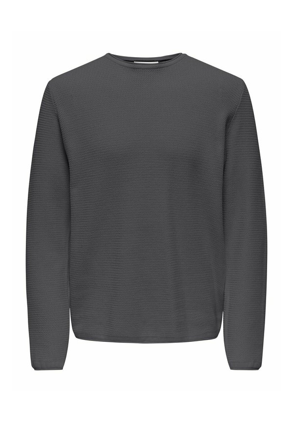 NORMAL GESCHNITTEN RUNDHALSAUSSCHNITT - Jumper - grau