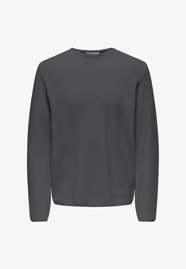 NORMAL GESCHNITTEN RUNDHALSAUSSCHNITT - Jumper - grau