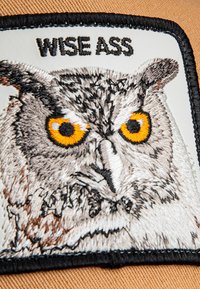 Embroidered patch featuring an owl with gray feathers and striking orange eyes, outlined in black, text reads "WISE ASS." Background is tan.