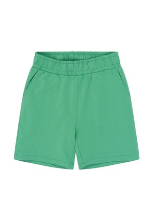 Zielone krótkie spodenki z elastycznym pasem i bocznymi kieszeniami, w stylu casual, wykonane z miękkiego materiału odpowiedniego do codziennego noszenia.