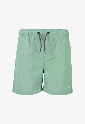 Shorts de bain vert menthe, fabriqués en tissu léger, dotés d'une taille élastique avec un cordon noir et un petit détail de logo.