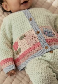 Megztinis mėtų žalsvumo spalvos, puoštas rožiniu ir kreminiu dryžu su gėlių ir vaisių siuvinėjimu, mėlynais mygtukais ir tekstūruotu raštu.