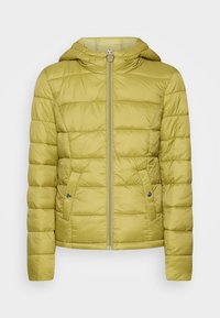 Não selecionado, green moss