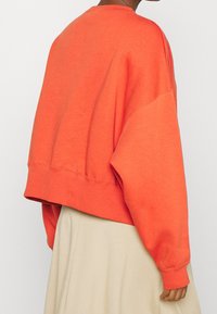 Oranger, verkürzter Sweatshirt mit abgesenkten Schultern, gerippten Manschetten und Saum. Weicher Stoff, minimalistischem Design und ohne sichtbare Muster.