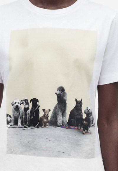 Rangée de neuf races de chiens différentes assis et debout sur un sol en béton devant un fond beige, tous en laisse.