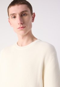 Sweter z prążkowanego dzianiny w delikatnym kremowym kolorze, z okrągłym dekoltem i luźnym krojem. Tekstura materiału jest gładka z subtelnym połyskiem.