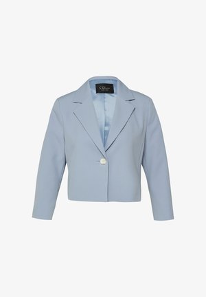 Gekürzter hellblauer Damenblazer mit langen Ärmeln, einem weißen Knopfverschluss, eingekerbtem Revers und glattem Innenfutter.