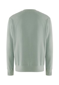 Effen lichtgroene trui met lange mouwen en ronde hals, met geribde manchetten en zoom, gezien vanaf de achterkant op een witte achtergrond.