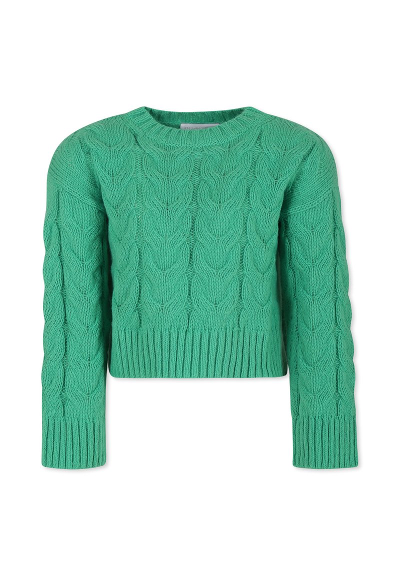 Stella McCartney Kids Trui groen