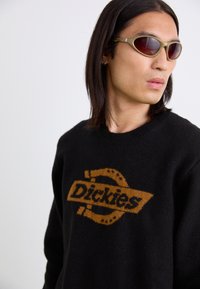 Person mit schulterlangem Haar, der braune Sonnenbrillen und einen schwarzen Pullover mit einem großen orangefarbenen Dickies-Logo trägt, schaut nach rechts.