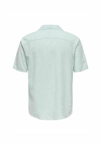 Camisa de manga corta de color verde menta claro fabricada en tejido texturizado. Presenta un cuello clásico y un corte relajado. Se muestra la vista desde la parte posterior.