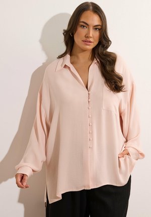 Vrouw met lang bruin haar draagt een loszittende lichtroze blouse met knopen en lange mouwen en een zwarte broek, staand tegen een effen lichte achtergrond.