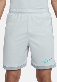 Nike Performance Pantalón corto de deporte - graugrau