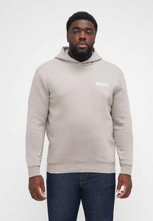 STACK COLOR BLOCK BACK HOODIE - Luvtröja - vintage khaki