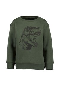 Felpa verde oliva con collo a girocollo a coste e polsini, caratterizzata da una stampa grafica nera della testa di un dinosauro sul davanti.