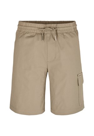 RELAXED PARACHUTE - Pantaloni cargo - laurel oak