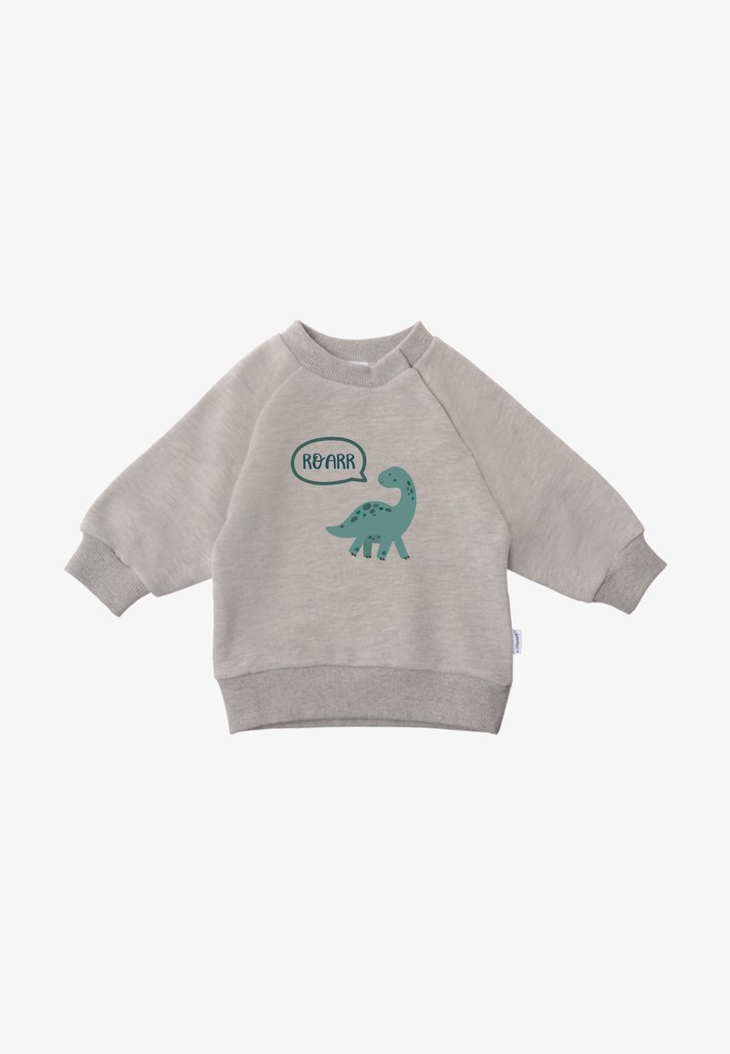 Gray sweatshirt with long sleeves, ribbed cuffs, featuring a dinosaur graphic and text "ROARR" in a speech bubble design.