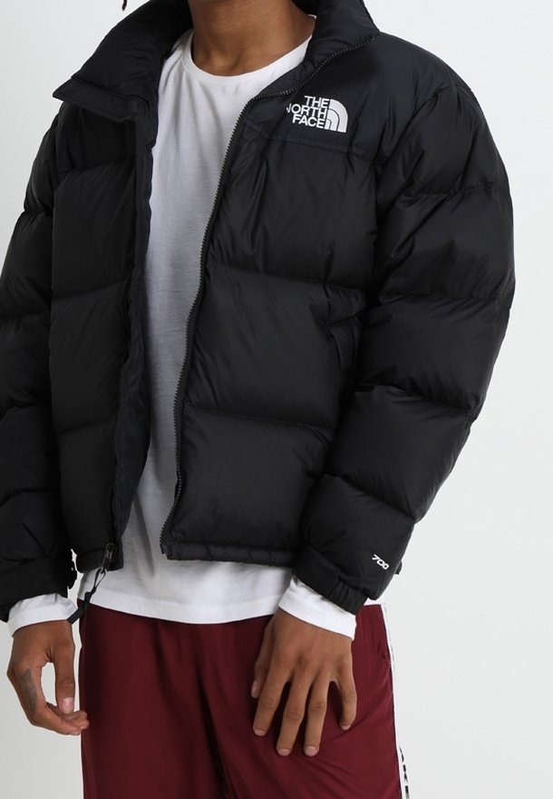 Personne portant une veste matelassée noire avec le logo The North Face, une chemise blanche et un pantalon bordeaux, se tenant devant un fond uni.