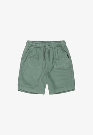 Lichtgroene corduroy shorts met een elastische tailleband, verstelbaar trekkoord en zijzakken. Heeft een subtiele geribbelde structuur.
