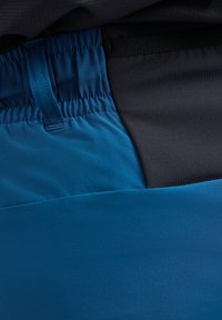 Pantaloni sportivi blu con un elastico in vita, caratterizzati da una texture liscia e un pannello nero a contrasto sul lato.