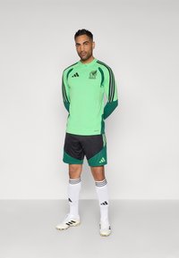 Jersey verde de manga longa com detalhes em preto, calções pretos e verdes a condizer, meias brancas com riscas pretas e chuteiras brancas visíveis.