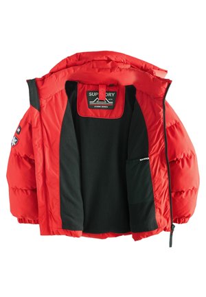 REGULAR FIT - SPORTS PUFFER - Vinterjakker - red