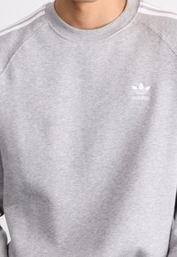 Grå sweatshirt i bomullsblandning, med vitt Adidas-logotyp och tre vita ränder längs axlarna. Rund halsringning och raglanärmar.