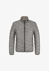 Ausgewählt, hellgrau