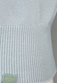 Pullover lavorato a maglia di colore azzurro chiaro, con orlo a coste e un'etichetta verde con ricamo a forma di squalo. Tessuto liscio, design aderente.