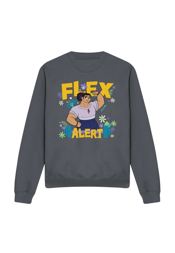 ENCANTO FLEX ALERT WITH LUISA - PRINT - Sweatshirt - anthracite