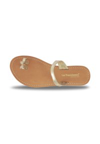 Sandal flat con una tracolla metallica dorata, soletta in pelle marrone e un elegante accento a forma di farfalla. Dettaglio di cuciture bianche a contrasto.