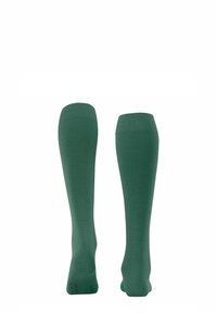 FALKE SOFTMERINO - Kniestrümpfe - caiman