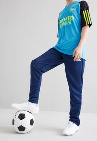 adidas Performance ENTRADA 22 - Träningsbyxor - blue
