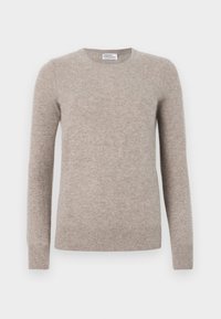 Pull beige en tissu doux, avec un col arrondi, des manches longues et des poignets et un ourlet côtelés. Texture lisse, design minimal.