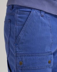 Blue striped cargo shorts with a textured finish. Features pockets and metal button accents. Stitched detailing along seams.