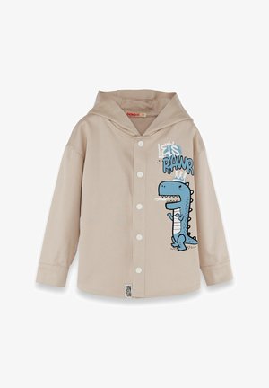 Beige lange mouwen shirt met een capuchon, voorzien van een blauwe dinosaurusafbeelding en de tekst "Let's Pawr". Ontworpen met een rij knopen aan de voorkant en een gemêleerde stof.