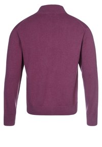 Pletený svetr v tmavě fialové barvě, s vysokým límcem a žebrovanými manžetami. Hladká textura s přiléhavým střihem a úhledným zadním dílem.