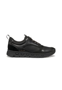 Geox Sneaker low - schwarz