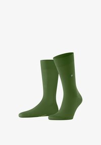 Non sélectionné, fir green