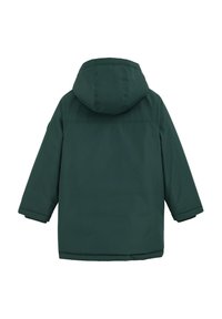 Tumši zaļš ziemas parka ar garām piedurknēm un taisnu apakšmalu, parādīts no aizmugures uz balta fona.