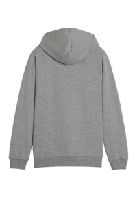 Felpa con cappuccio, grigia, realizzata in morbido cotone misto. Presenta maniche lunghe, polsini a coste e vita a coste. Design sul retro liscio e senza decorazioni.
