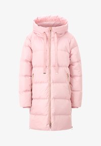 Unselected, winter rose