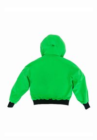 Helles grünes Kapuzenjackett mit langen Ärmeln und schwarzen elastischen Bündchen sowie einem schwarzen Gummizug an der Taille, von hinten auf einem weißen Hintergrund gezeigt.