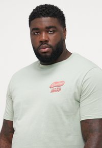 Lys grøn kortærmet t-shirt i blødt materiale, med et pink retro grafisk motiv med teksten "Hej fra Arizona" placeret på brystet.