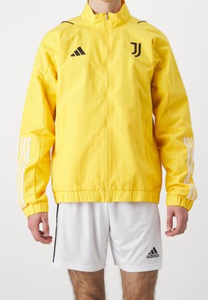 Squadra - gold-coloured