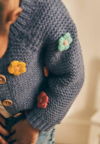 Next REGULAR FIT - Kardigán - blue