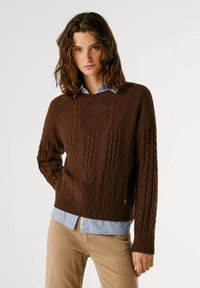 Maglione lavorato a maglia marrone con motivi testurizzati, scollo a girocollo e polsini a coste, indossato sopra una camicia a righe blu chiaro.